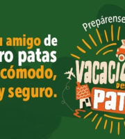 IDPYBA impulsa en Semana Santa la estrategia “Vacaciones de Patas” para viajes responsables con animales